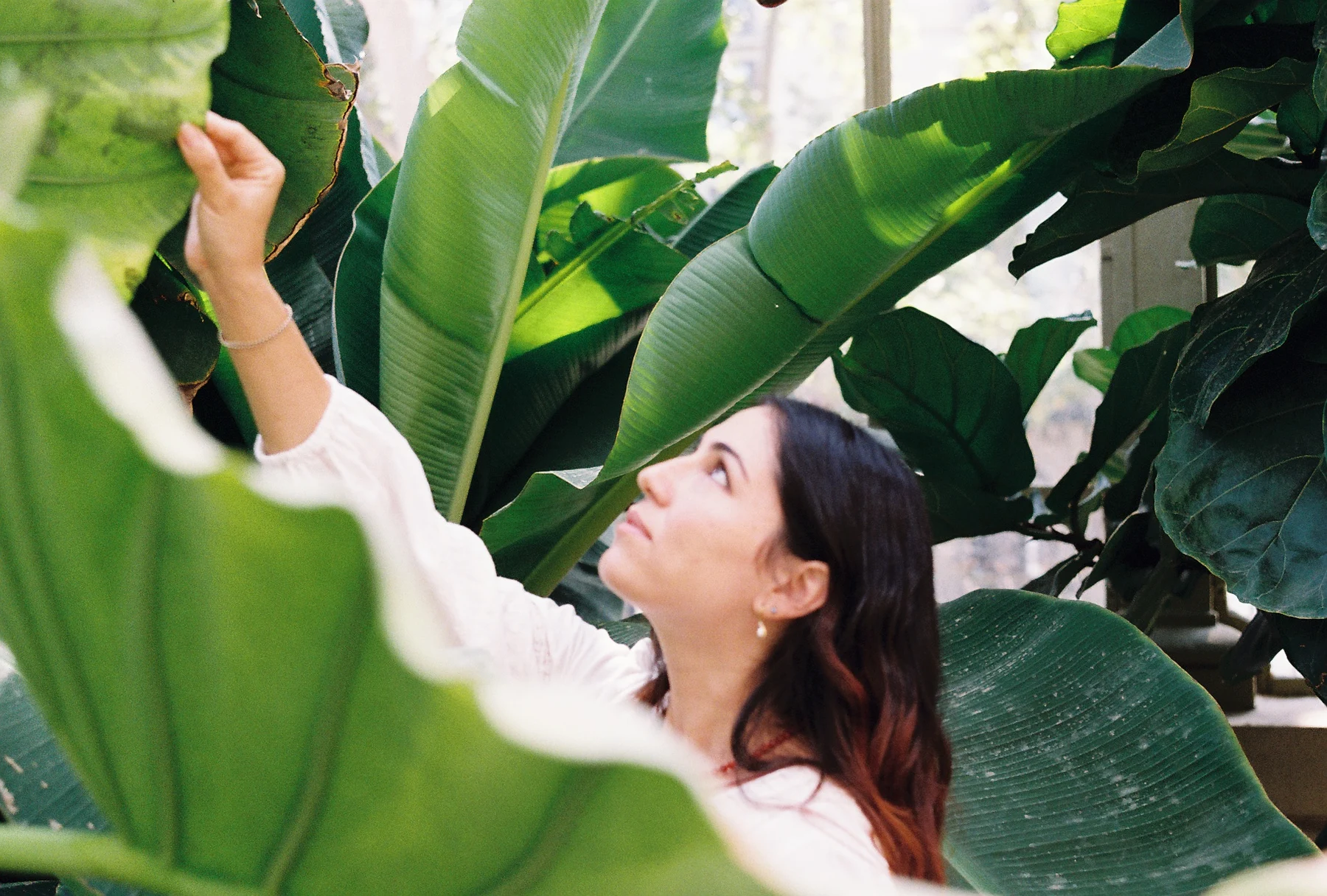 Karen Ibáñez among broad green leaves